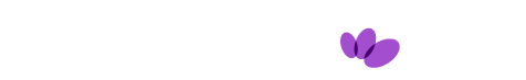 2025 pankind c4x logo